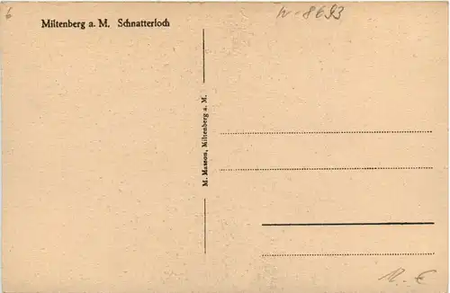 Miltenberg a. M., Schnatterloch -456828