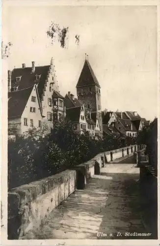 Ulm, Stadtmauer -456594