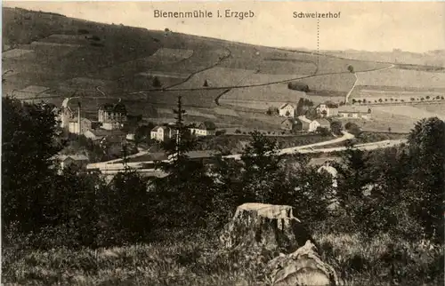 Bienenmühle i. Erzgeb., Schweizerhof -456022