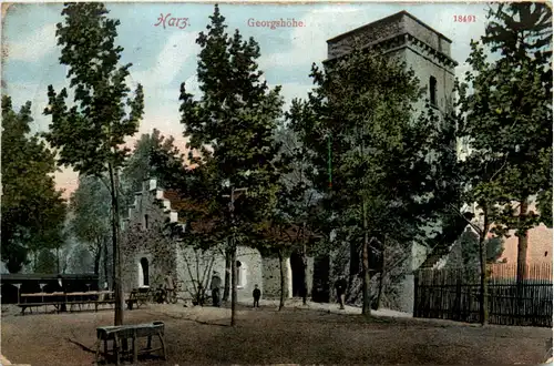 Harz, Georgshöhe -456066