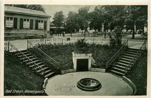 Bad Steben, Wiesenquelle -456794
