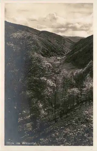 Feldberg, Blick ins Wiesental -374596