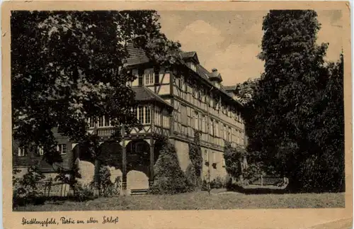 Stadtlengsfeld, Partie am alten Schloss -456366