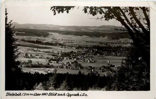 Bieleboh - Blick nach Oppach -453900