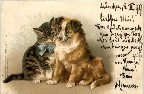 Hund und Katze -454100