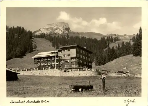 Kleinwalsertal - Sporthotel Auenhütte -76936