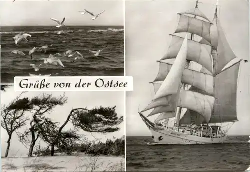 Ostsee im Bezirk Rostock - Segelschulschiff Wilhelm Pieck -76956