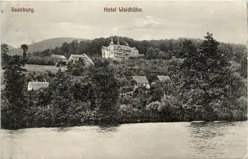 Ilsenburg, Hotel Waldhöhe -456580
