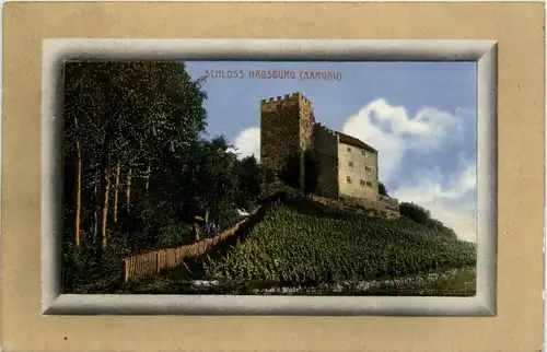 Schloss Habsburg - Aargau -439108