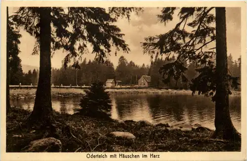 Oderteich mit Häuschen im Harz -455716