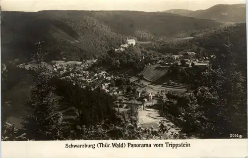 Schwarzburg, Panorama vom Trippstein -455756