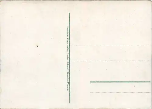 Stadt und Bad Schandau -454546