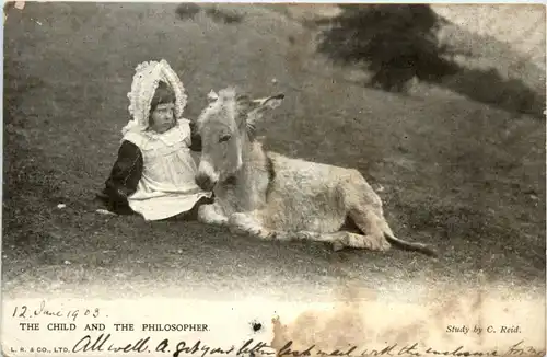 The child and the Philosopher to Singapore - Donkey -457556