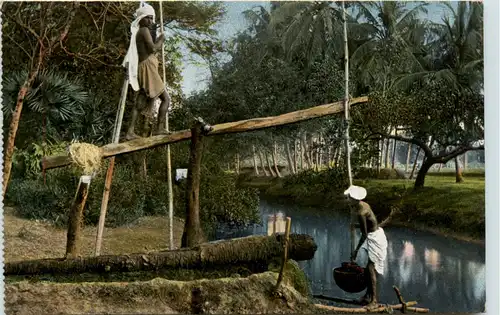 India - Wasserschöpfer bei der Arbeit -457392