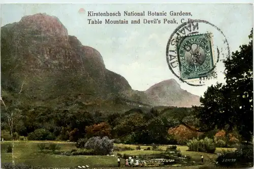 Kirstenbosch National Botanic Gardens -457462