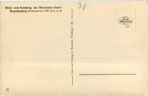 Blick vom Feldberg ins Wiesental - Fahl - Brandenberg -439844