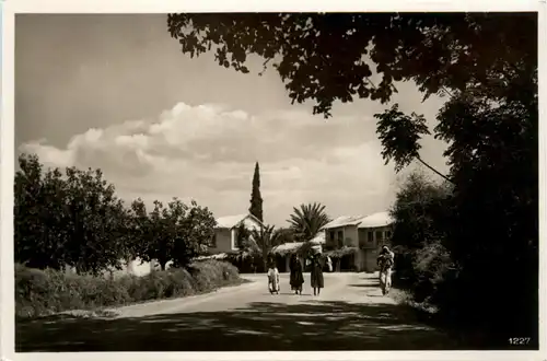 Jericho - Palestine -457312