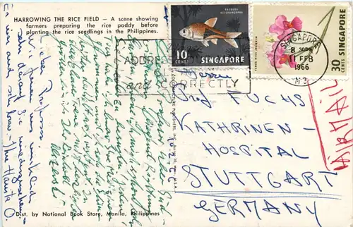 Singapore - Harrowing the Rice Field -457430