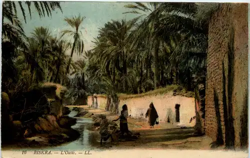 Biskra - L Oasis -458252
