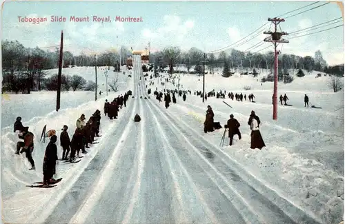 Montreal - Toboggan Slide Mount Royal -457866