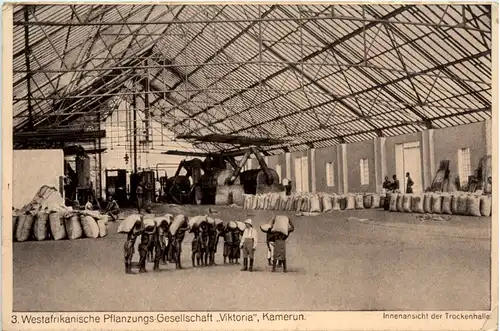 Kamerun - Westafrikanische Pflanzungs Gesellschaft Viktoria -458520