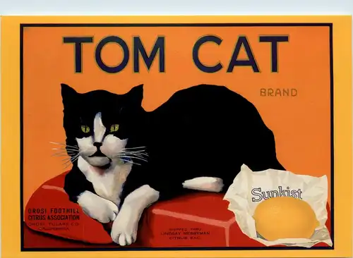 Sunkist - Tom Cat -79026