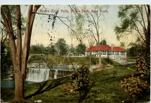 New York - Bronx Park -458006