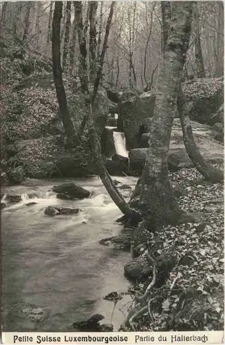 Luxemburg - Partie du Hallerbach -459390