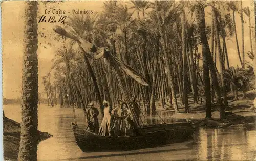 Le Caire - Palmiers -458370