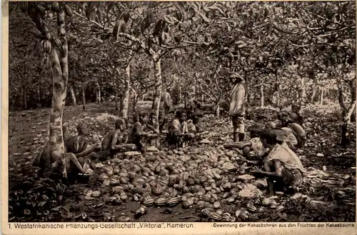 Kamerun - Westafrikanische Pflanzungs Gesellschaft Viktoria -458348