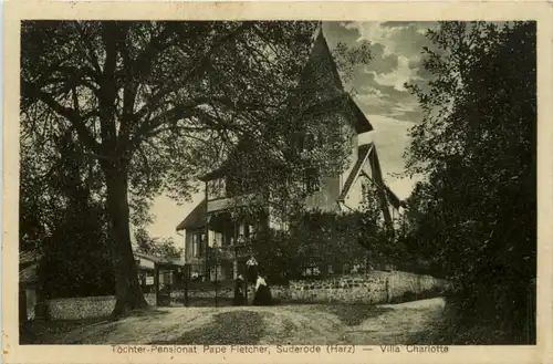 Suderode - Töchter Pensionat Villa Charlotte -454548