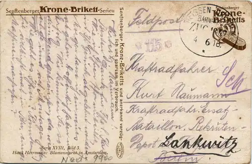 Amsterdam - Blumenmarkt -459556