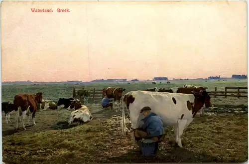 Waterland - Broek -459576