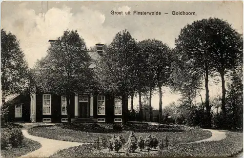 Groet uit Finsterwolde - Goldhoorn -459634