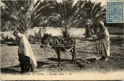 Algerie - Scenes et Types -441726