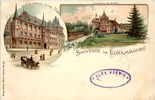 Souvenir de Luxembourg - Litho -459202