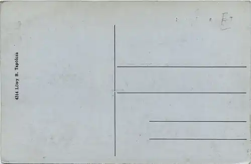 Tapolcza - Toreszlet -460312