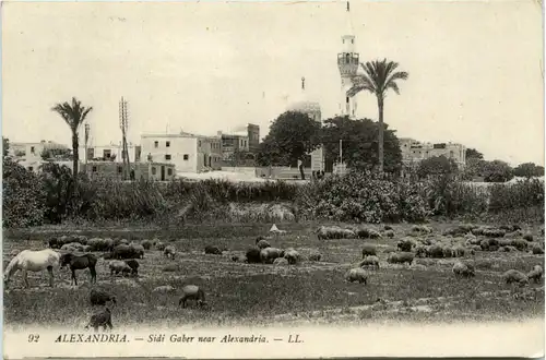 Alexandria - Sidi Gaber near Alexandria -458284