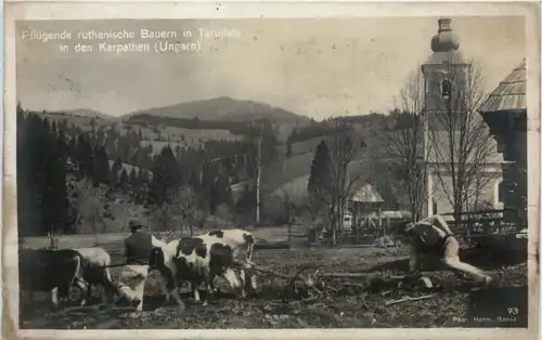 Bauern in Tarujfalu Karpaten -461306