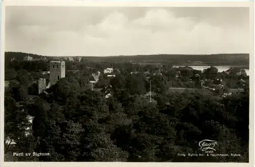 Parti av Sigtuna -460478