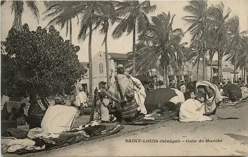 Senegal - Saint Louis -443360