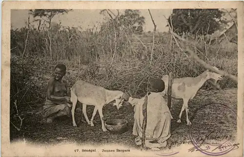 Senegal - Jeunes Bergers -443380