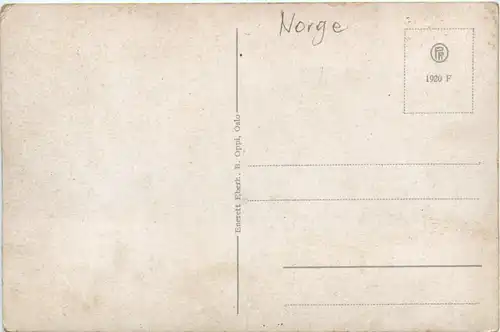 Norge - Veien Vodheim Utvik -460860