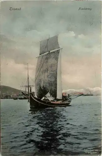 Tromsö - Femdöring -460514