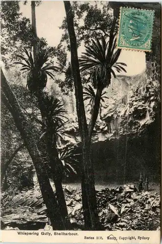 Shellharbour - Whispering Gully -80934