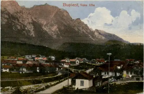 Busteni - Valea Alba - Feldpost -462922