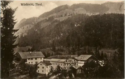 Wildbichl - Tirol -462098