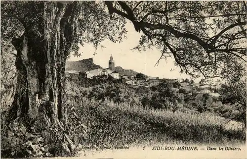 Sidi-Bou-Medine, Dans les Oliviers -362868