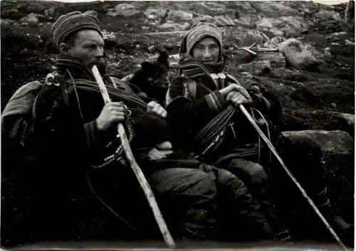 Lappen mit Polarhund -460754