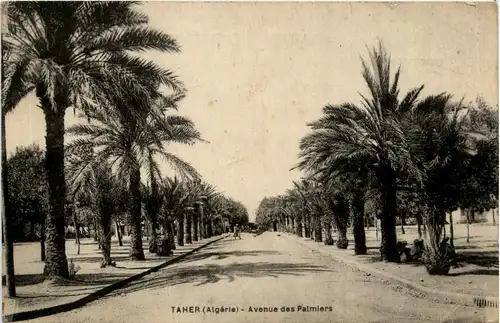 Taher, Avenue es palmiers -363148